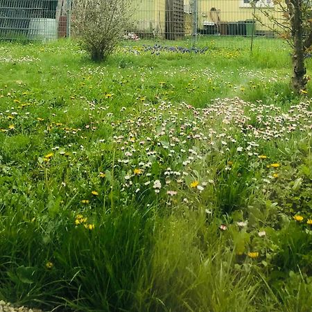 Ferienwohnung Feldmann Freckenfeld المظهر الخارجي الصورة