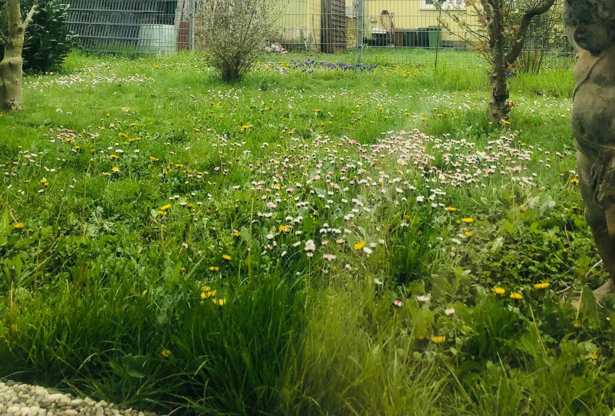 Ferienwohnung Feldmann Freckenfeld المظهر الخارجي الصورة